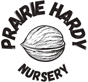 Prairie Hardy Nursery