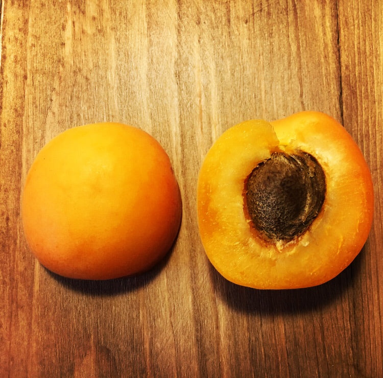 Capilano Apricot