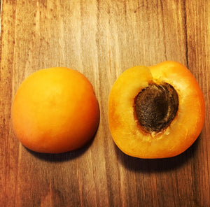 Capilano Apricot